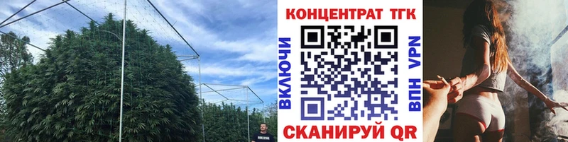 ТГК концентрат  Олонец 